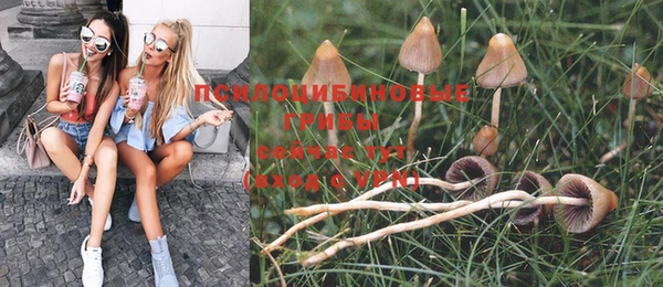mdma Пересвет