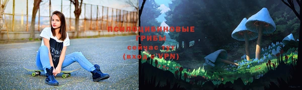 сатива Пестово