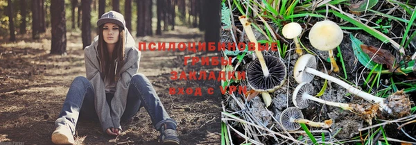 сатива Пестово