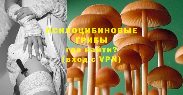 сатива Пестово