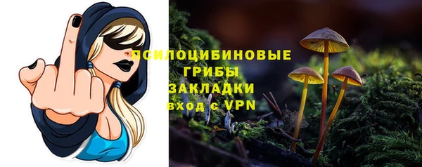 mdma Пересвет