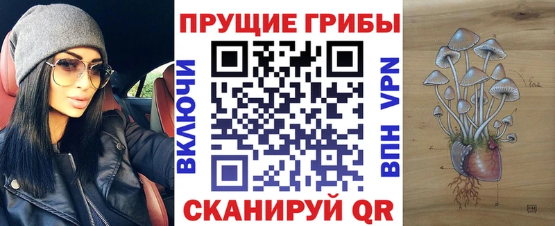 Галлюциногенные грибы Magic Shrooms  купить наркотик  Апшеронск 